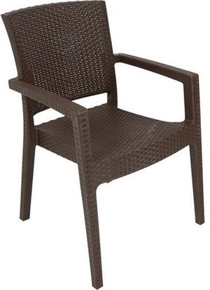 Zeus Plastik Rattan Sandalye